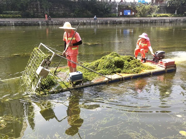 老河道清理保洁实施方案